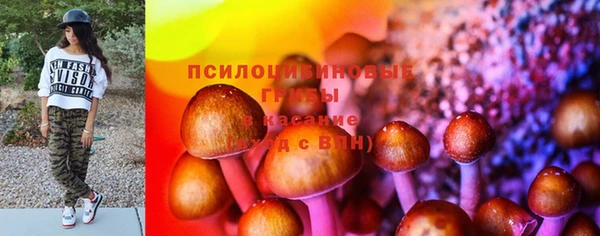 прущая мука Бородино
